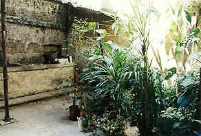 Secluded courtyard